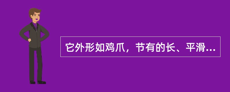 它外形如鸡爪，节有的长、平滑如茎杆（过桥），此药材是（）