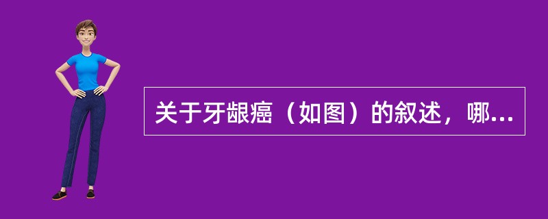 关于牙龈癌（如图）的叙述，哪项是错误的（）