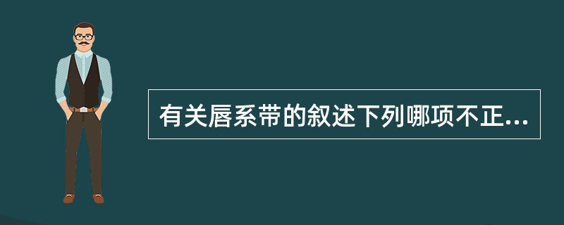 有关唇系带的叙述下列哪项不正确（）