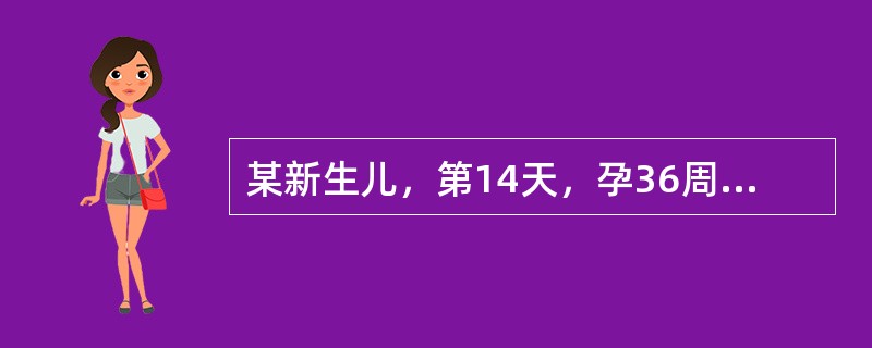 某新生儿，第14天，孕36周分娩，出生体重2000g，母乳喂养为主，生后48小时