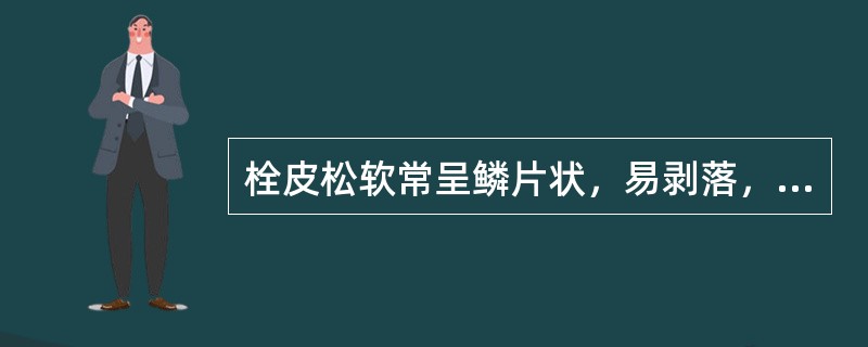 栓皮松软常呈鳞片状，易剥落，具有特异香气，味苦的中药是（）。