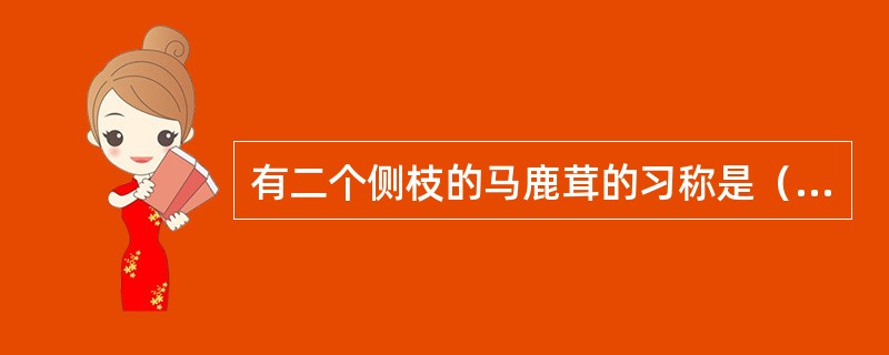 有二个侧枝的马鹿茸的习称是（）。