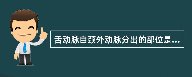 舌动脉自颈外动脉分出的部位是（）