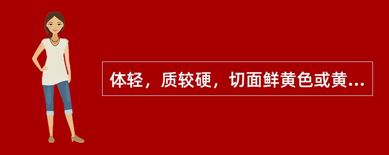 体轻，质较硬，切面鲜黄色或黄绿色的中药是（）。