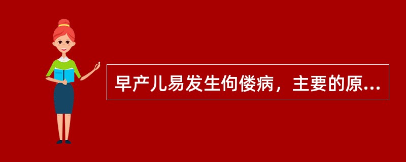 早产儿易发生佝偻病，主要的原因是（）