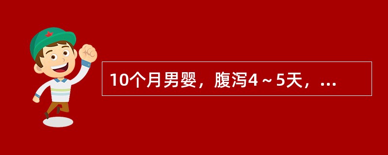 10个月男婴，腹泻4～5天，大便6～9次/日，呈稀水样，伴呕吐1～2天。体检：皮