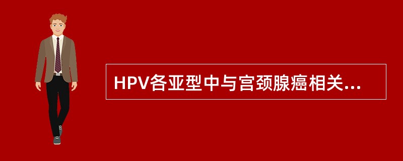 HPV各亚型中与宫颈腺癌相关度最高的是（）