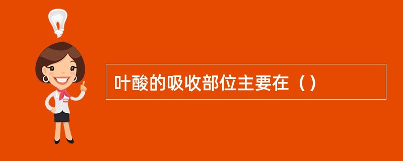 叶酸的吸收部位主要在（）