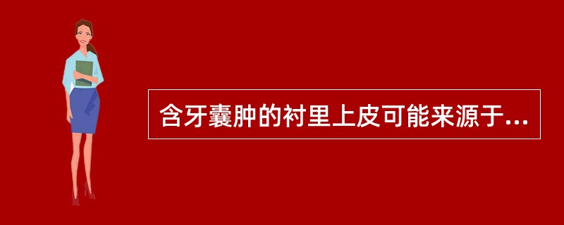 含牙囊肿的衬里上皮可能来源于（）