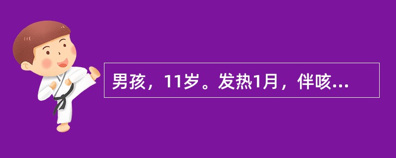 男孩，11岁。发热1月，伴咳嗽2周。体检：面色苍白，血红蛋白90g/L，白细胞3