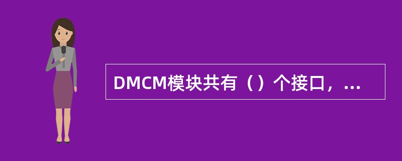 DMCM模块共有（）个接口，分别为（）；（）；（）；（）。