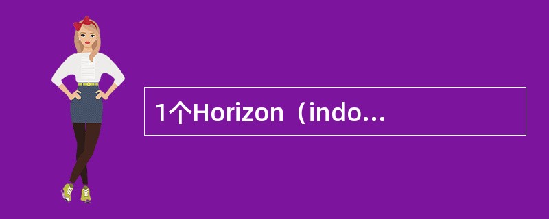 1个Horizon（indoor）机柜最多可以放（）块DCF。