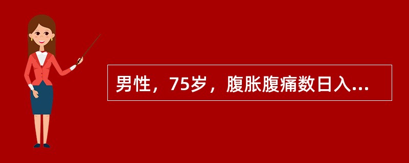 男性，75岁，腹胀腹痛数日入院。HR106次／分，BP100／55mmHg；血气