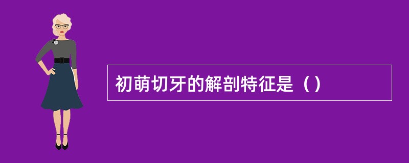 初萌切牙的解剖特征是（）