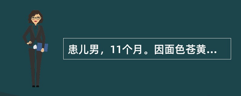 患儿男，11个月。因面色苍黄、智力发育倒退1个月，发热、咳嗽3天就诊。营养发育史