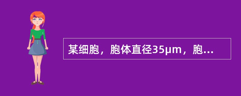 某细胞，胞体直径35μm，胞体椭圆形；胞质蓝色，无颗粒，有少许空泡；核大，椭圆形