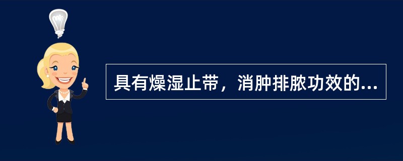 具有燥湿止带，消肿排脓功效的药物是（）