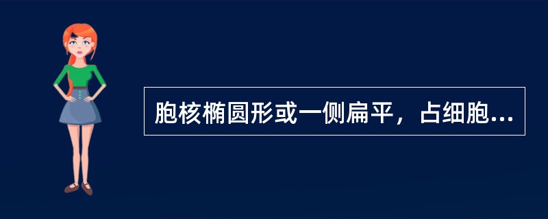 胞核椭圆形或一侧扁平，占细胞的2/3～1/2，染色质聚集成索块状，核仁消失，胞质