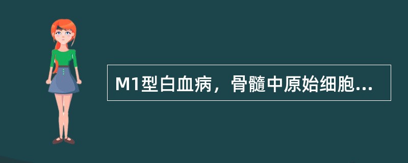 M1型白血病，骨髓中原始细胞应（）