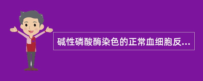 碱性磷酸酶染色的正常血细胞反应中，除成熟中性粒细胞外，呈阳性反应的细胞是（）