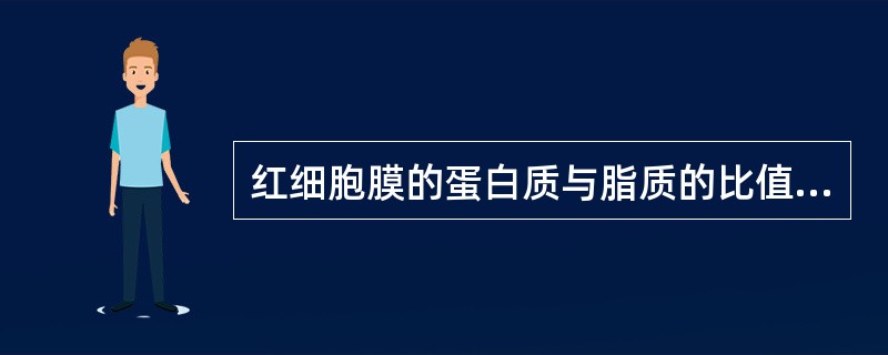 红细胞膜的蛋白质与脂质的比值约为（）