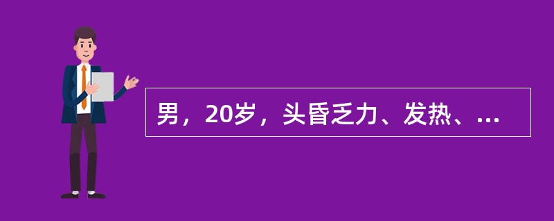 男，20岁，头昏乏力、发热、全身疼痛、皮肤紫癜半月余；查体：贫血貌，体温38℃，