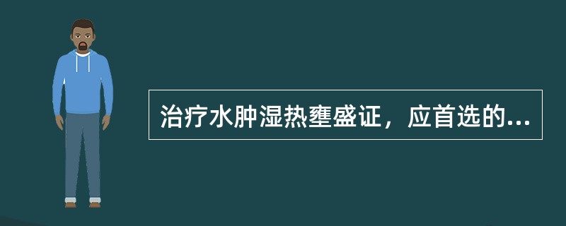 治疗水肿湿热壅盛证，应首选的方剂是（）