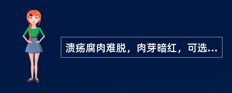 溃疡腐肉难脱，肉芽暗红，可选用的外用药是（）