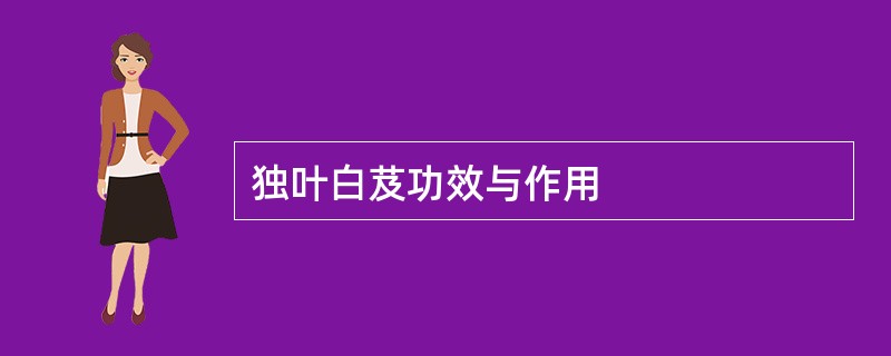 独叶白芨功效与作用