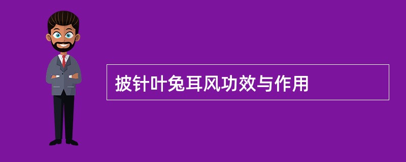 披针叶兔耳风功效与作用