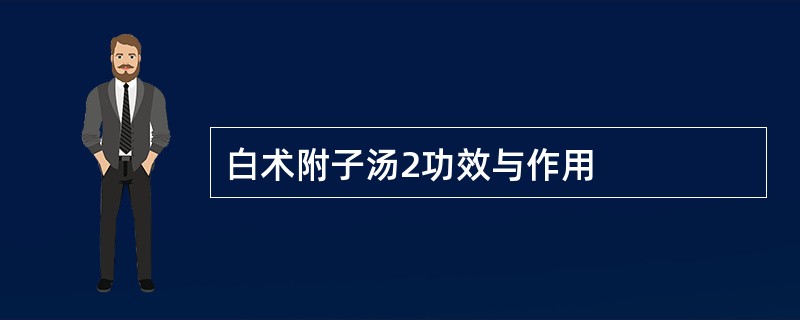 白术附子汤2功效与作用