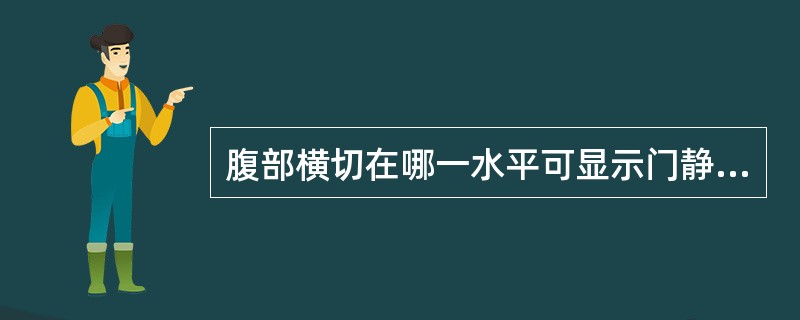 腹部横切在哪一水平可显示门静脉：（）