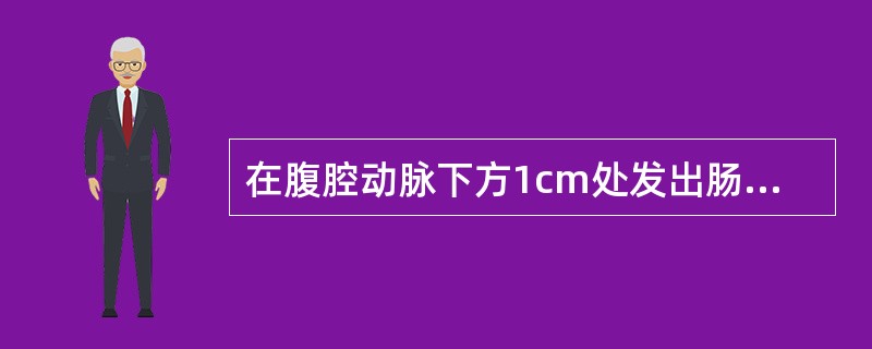 在腹腔动脉下方1cm处发出肠系膜上动脉，其走行于：（）