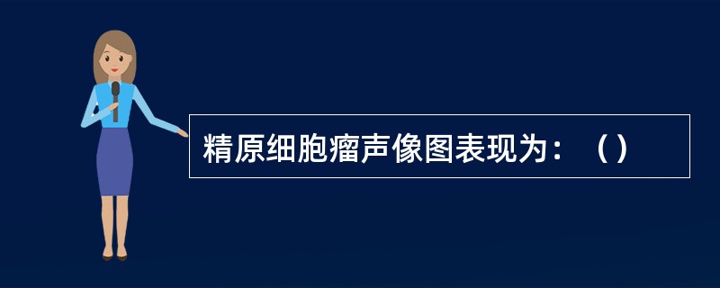 精原细胞瘤声像图表现为：（）