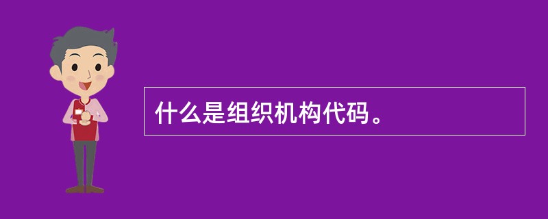 什么是组织机构代码。