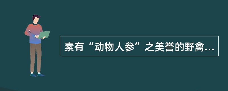 素有“动物人参”之美誉的野禽是（）。