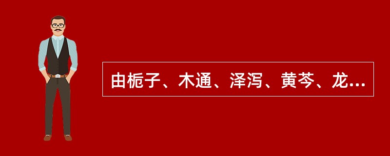 由栀子、木通、泽泻、黄芩、龙胆草、生地黄、柴胡、生甘草、当归组成的方剂是（）