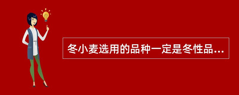 冬小麦选用的品种一定是冬性品种。