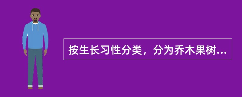 按生长习性分类，分为乔木果树，（）、藤本果树、草本果树。