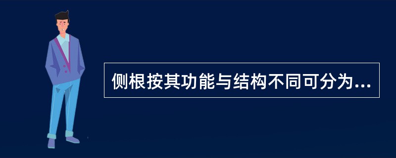 侧根按其功能与结构不同可分为四类（）（）（）（）。