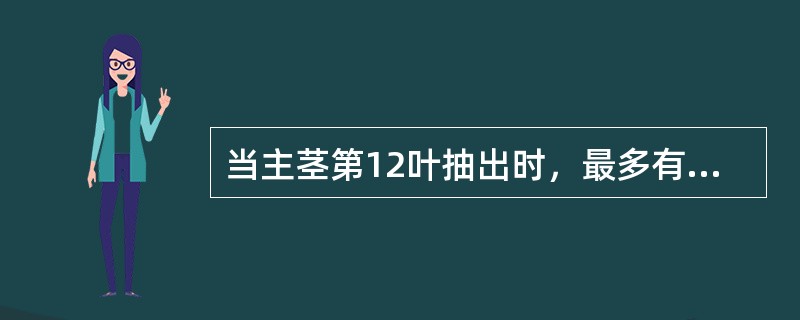 当主茎第12叶抽出时，最多有（）个1次分蘖。