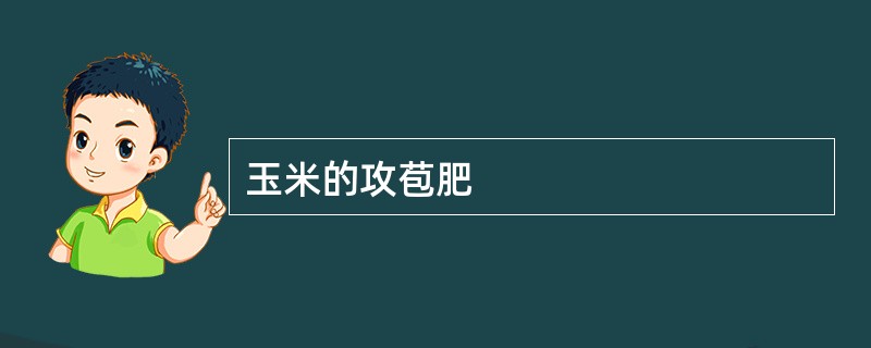 玉米的攻苞肥