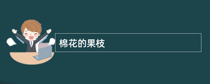 棉花的果枝