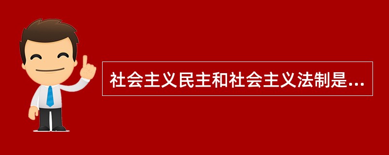 社会主义民主和社会主义法制是不可分的。不要社会主义法制的民主，不要纪律和秩序的民