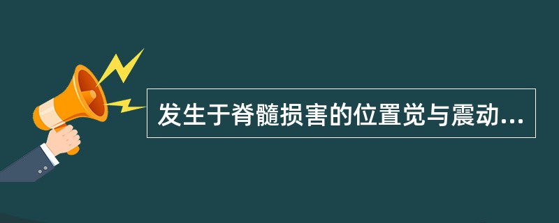 发生于脊髓损害的位置觉与震动觉缺失是由于病变侵犯（）