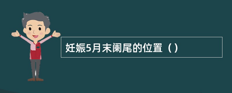 妊娠5月末阑尾的位置（）