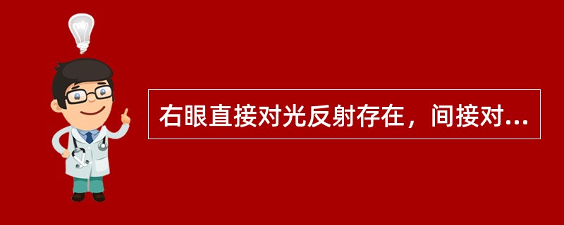 右眼直接对光反射存在，间接对光反射消失，病变在（）