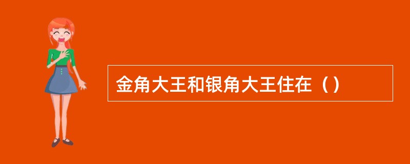 金角大王和银角大王住在（）
