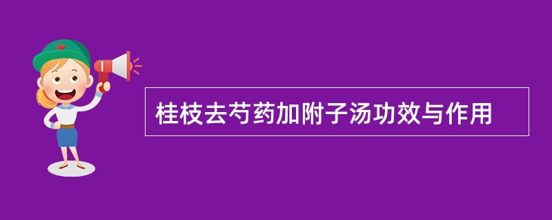 桂枝去芍药加附子汤功效与作用