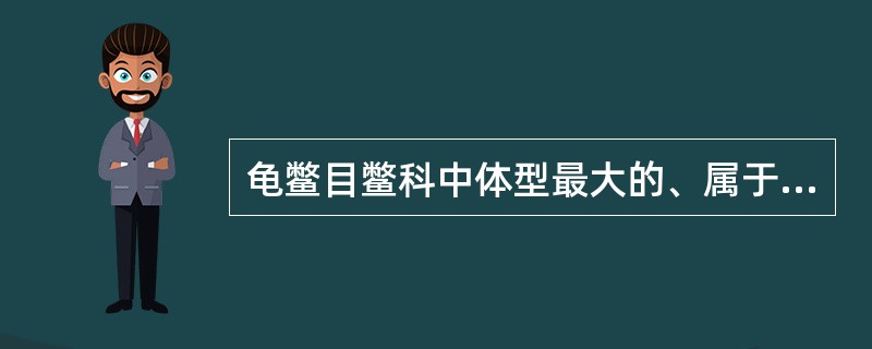 龟鳖目鳖科中体型最大的、属于国家一级保护的动物是（）。